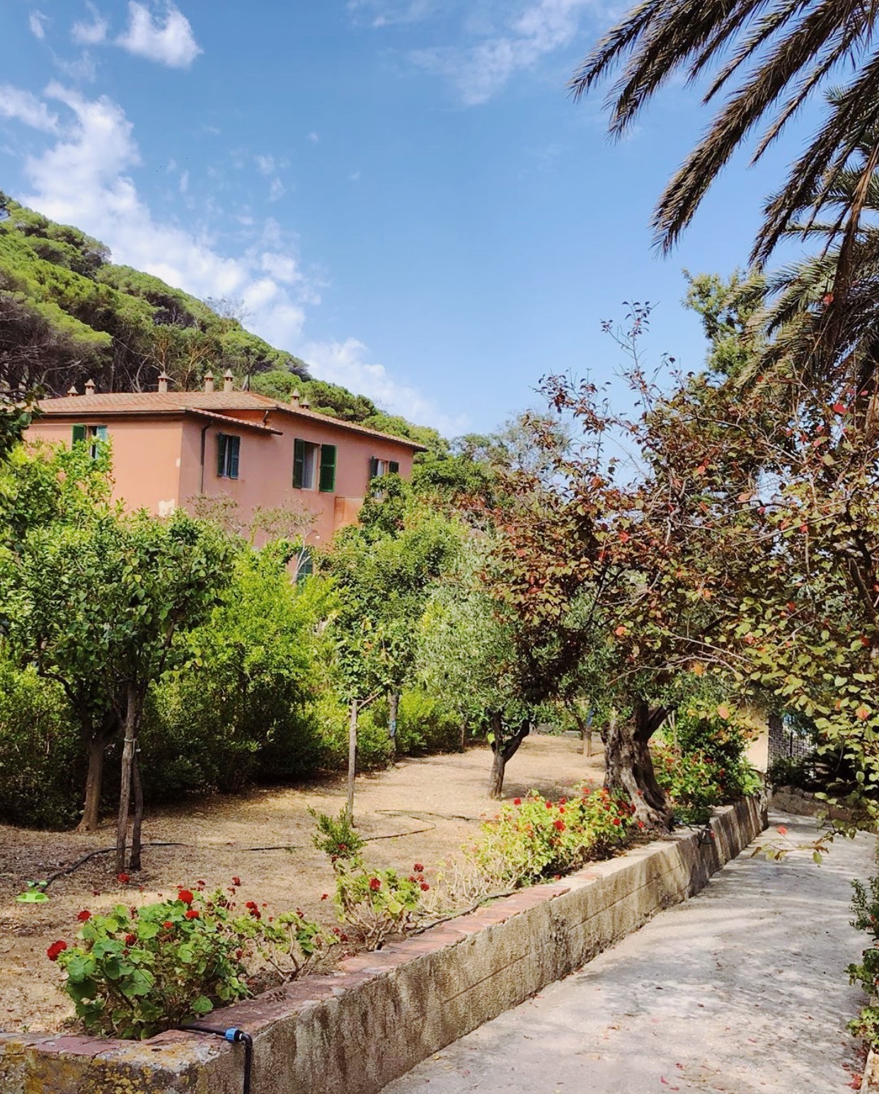 Red house between plants and trees over a mountain with blue sky at Montecristo Tuscany in Italy