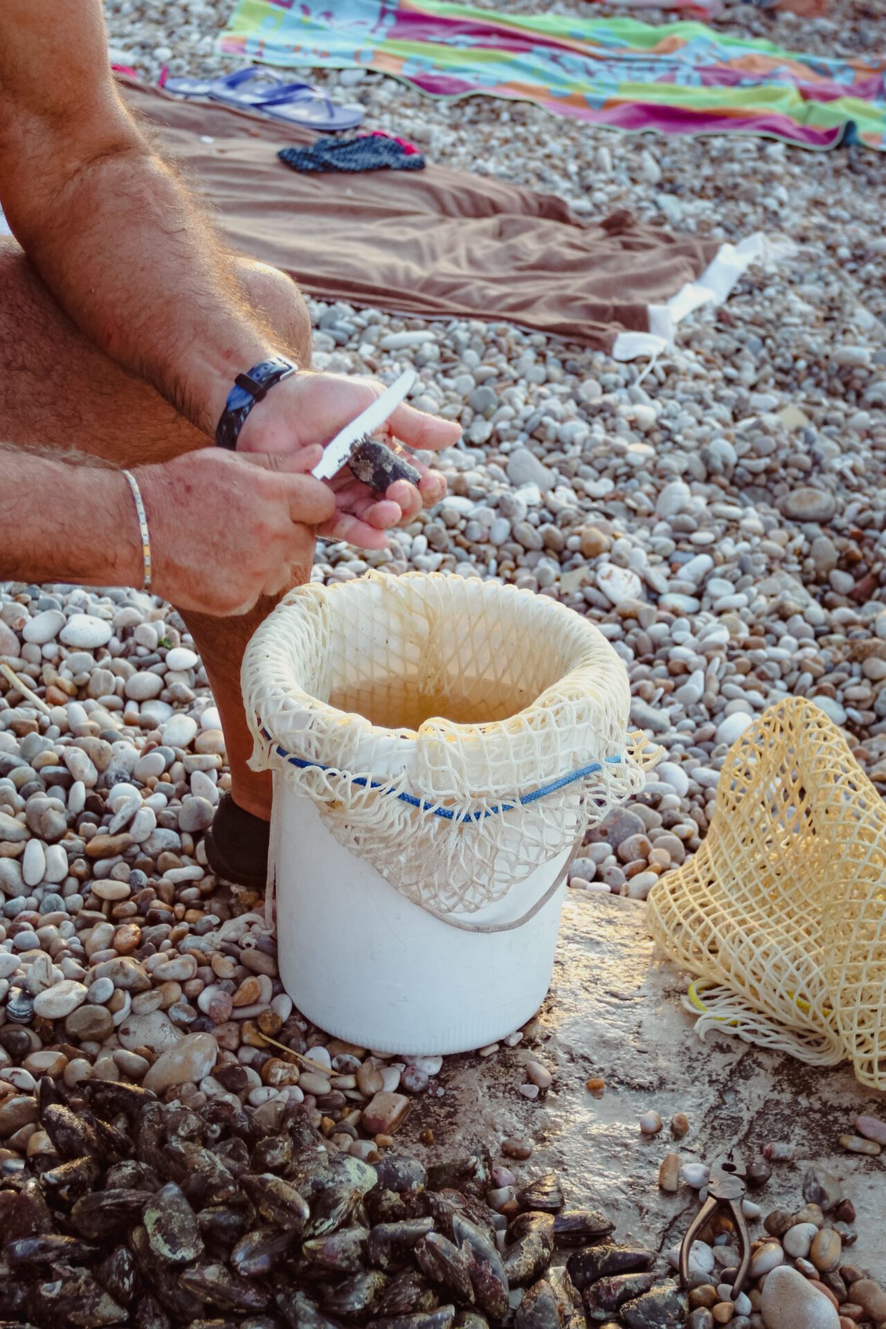 Man opening clams into a white big bucket in a rocks beach in Abruzzo in Italy