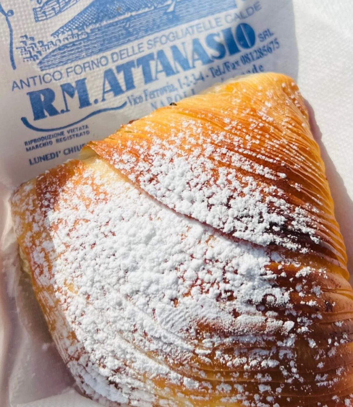 a sfogliatella, naples pastry, with a dusting of powdered sugar