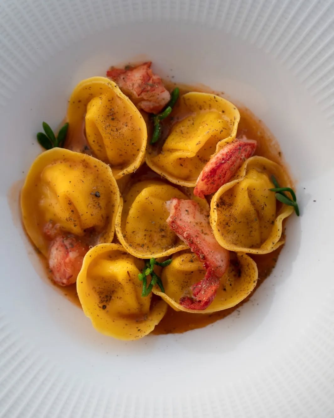 A white plate with five yellow tortellini in brown sauce, topped with herbs, lobster pieces, and a sprinkle of black pepper.