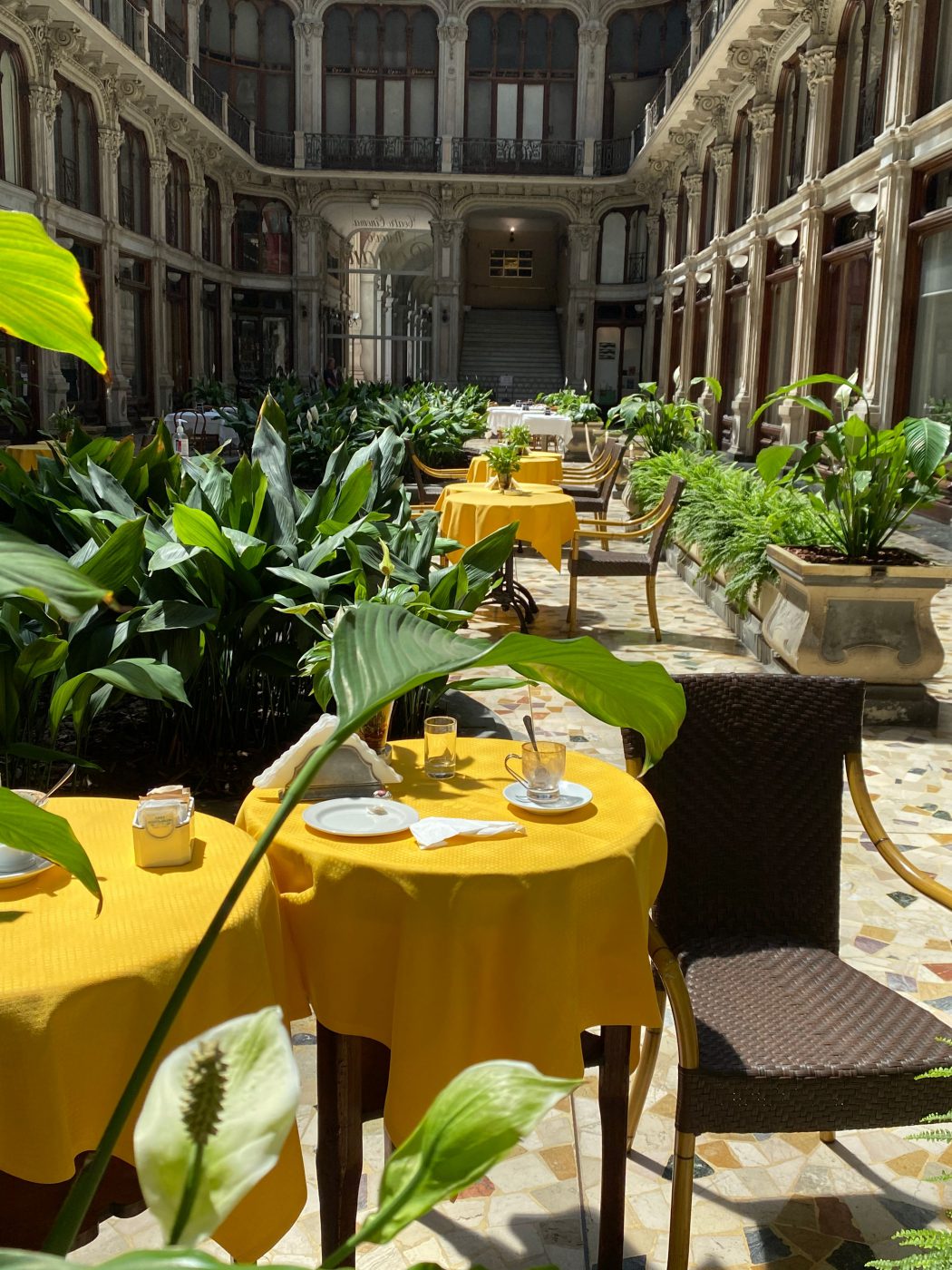 Yellow tables with coffee cups and chairs surrounded by pots and plants within antique building with columns at Galleria Subalpina in Turin Piedmont in Italy