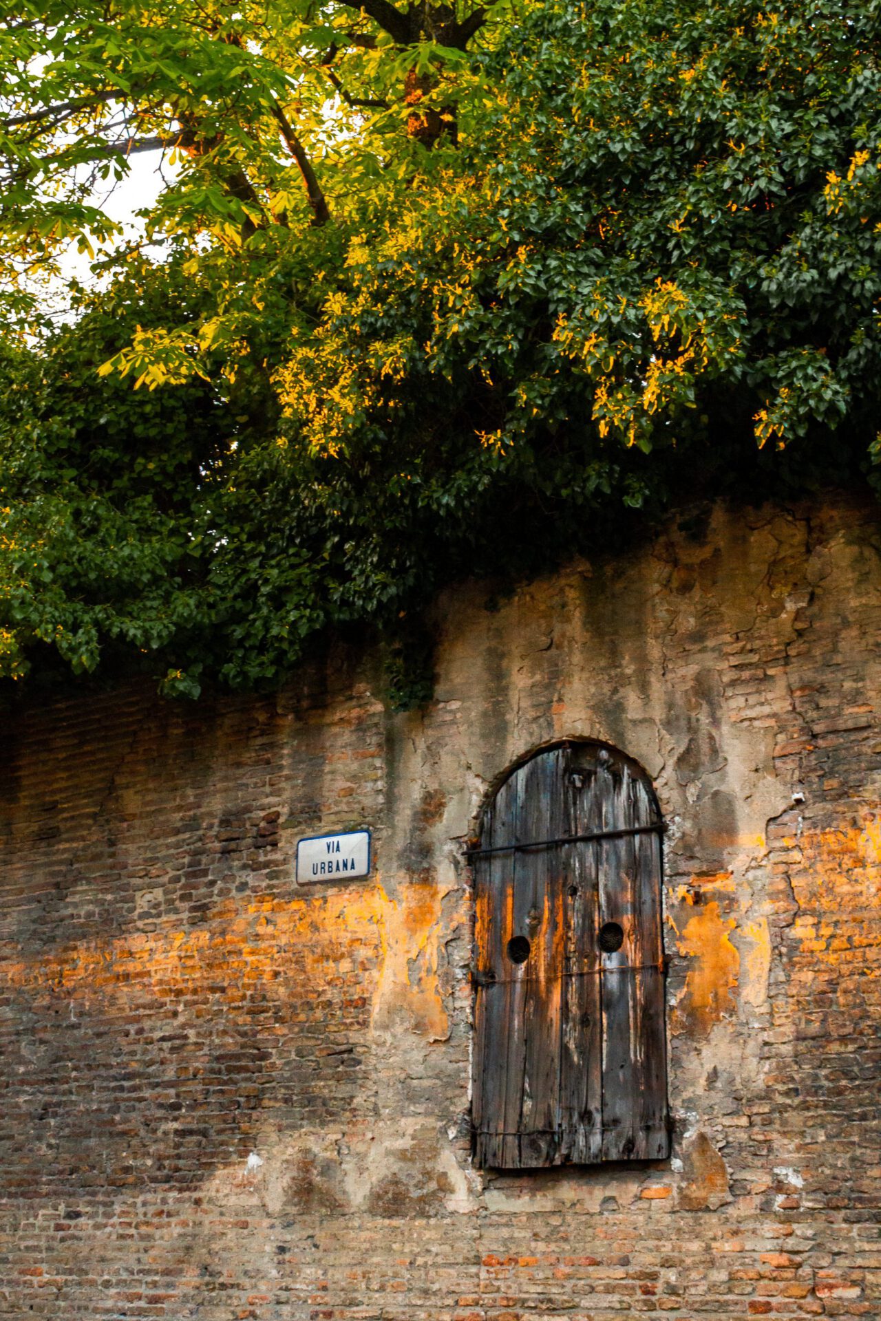 Antique wall with old wooden door surrounded by plants and trees in Bologna Emilia Romagna in Italy