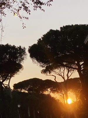 Bright yellow sunset behind tall trees from Villa Borghese in Rome Lazio in Italy