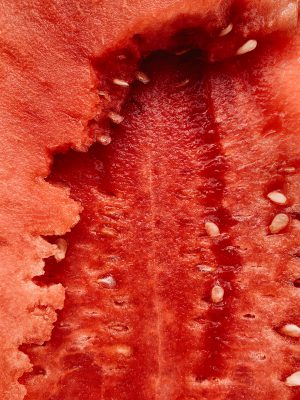 Close view of a bright red italian watermelon with seeds