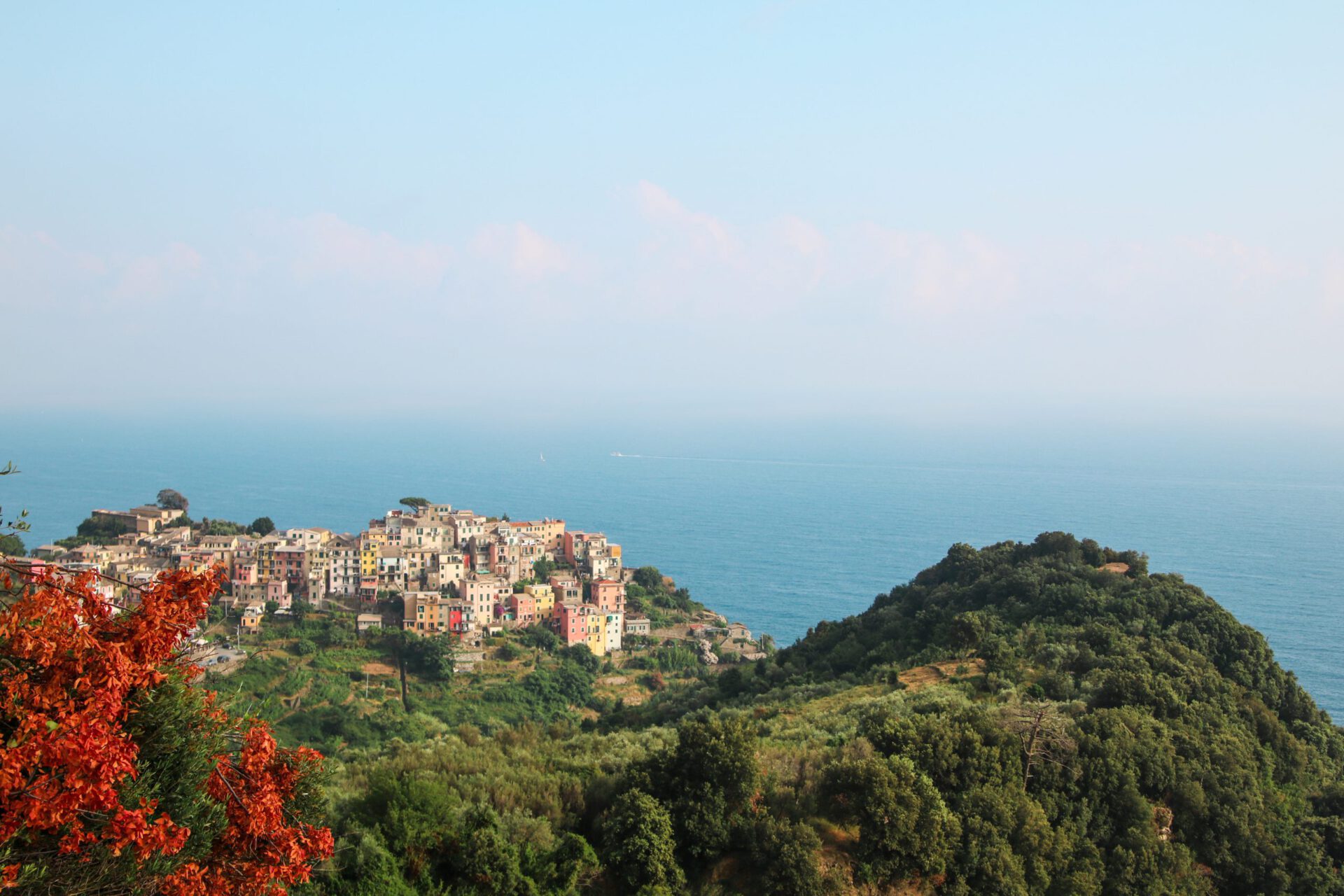Colorful houses in the middle of a hill over a rocky beach and crystal blue sea surrounded by mountains and plants in Cinque Terre, Liguria in Italy