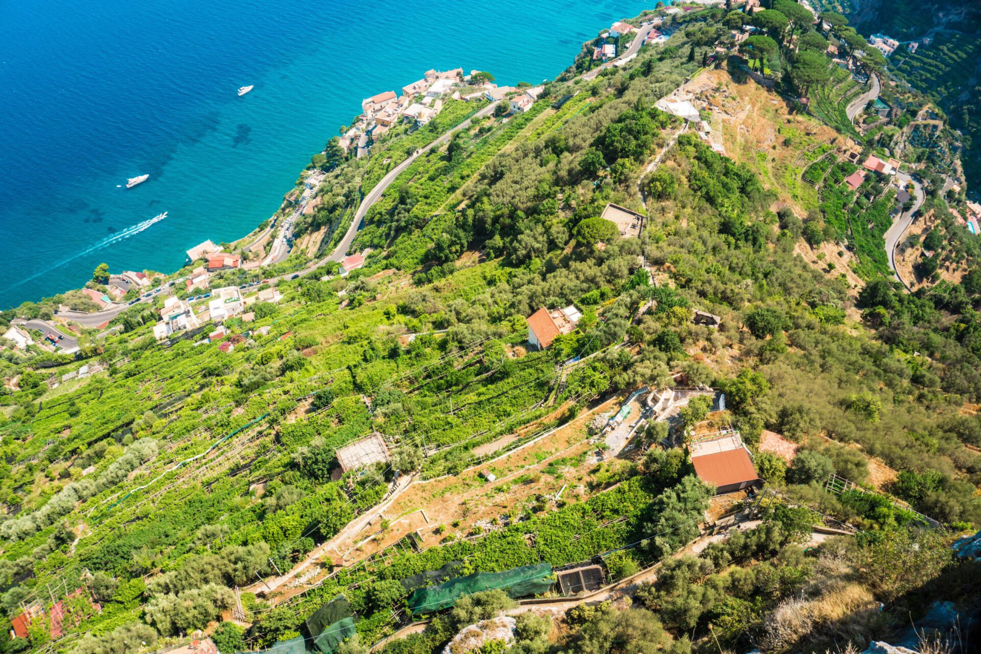 Houses over a green hill surrounded by plants and trees facing the ocean with steps levels on the mountains at Ravello Campania in Italy