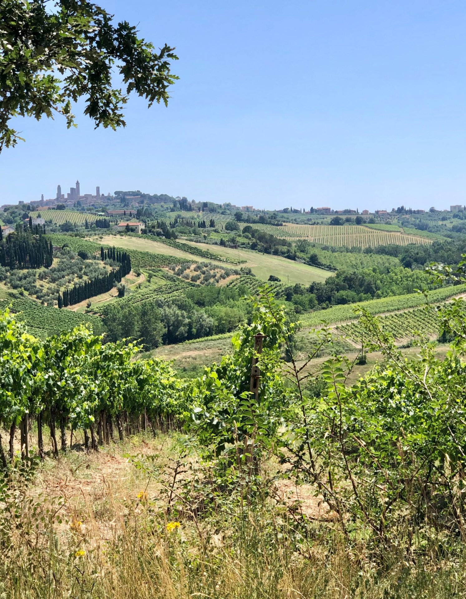 Agriturismi - ONE OF ITALY'S BEST KEPT SECRETS