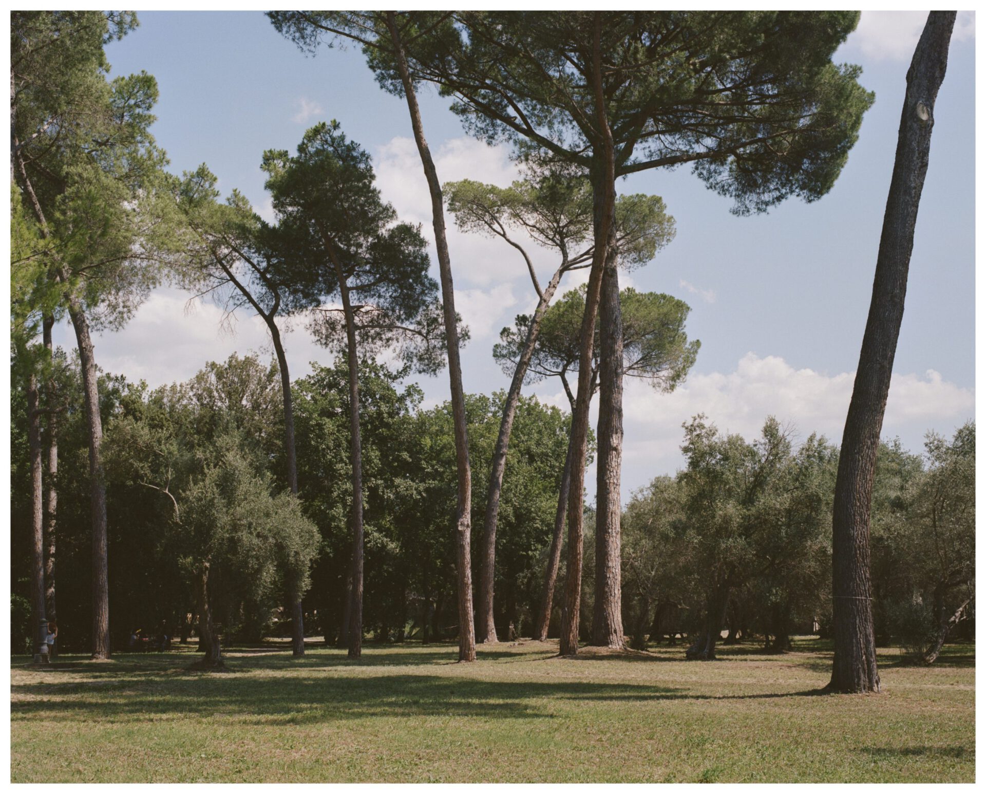 Roman Photographer Fabrizio Amoroso Tivoli, Villa Adriana, 2019