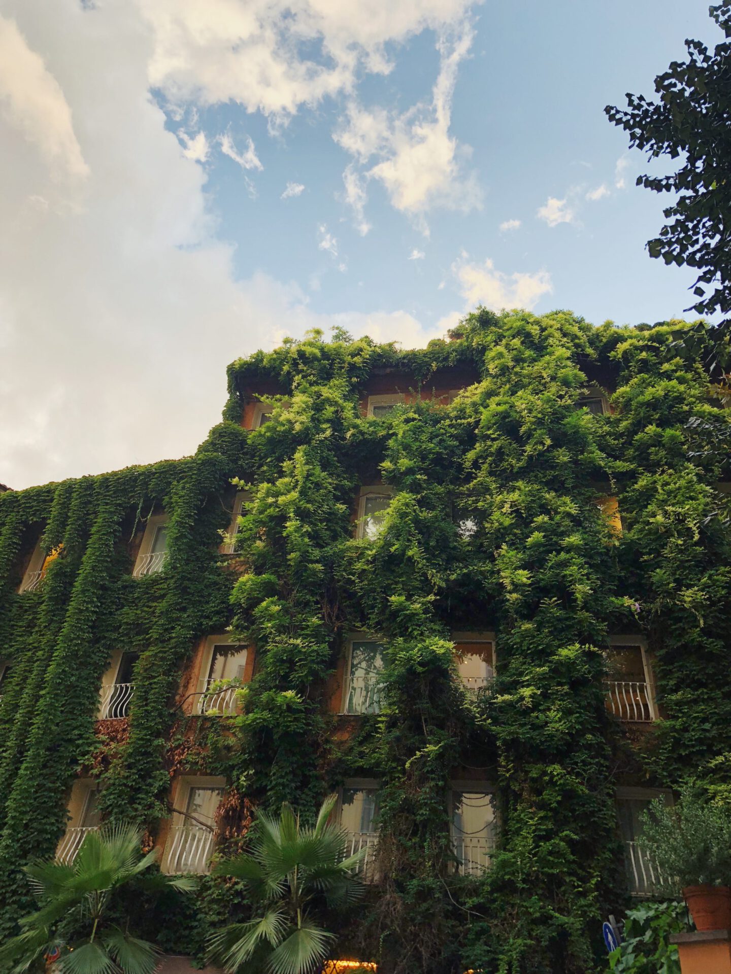 Hotel Raphael's terrace - Rome