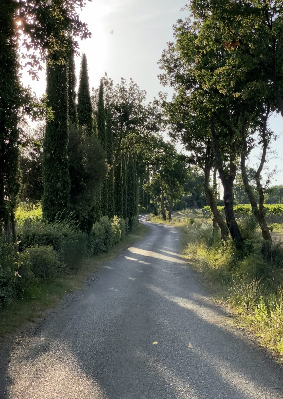 Tuscany during springtime