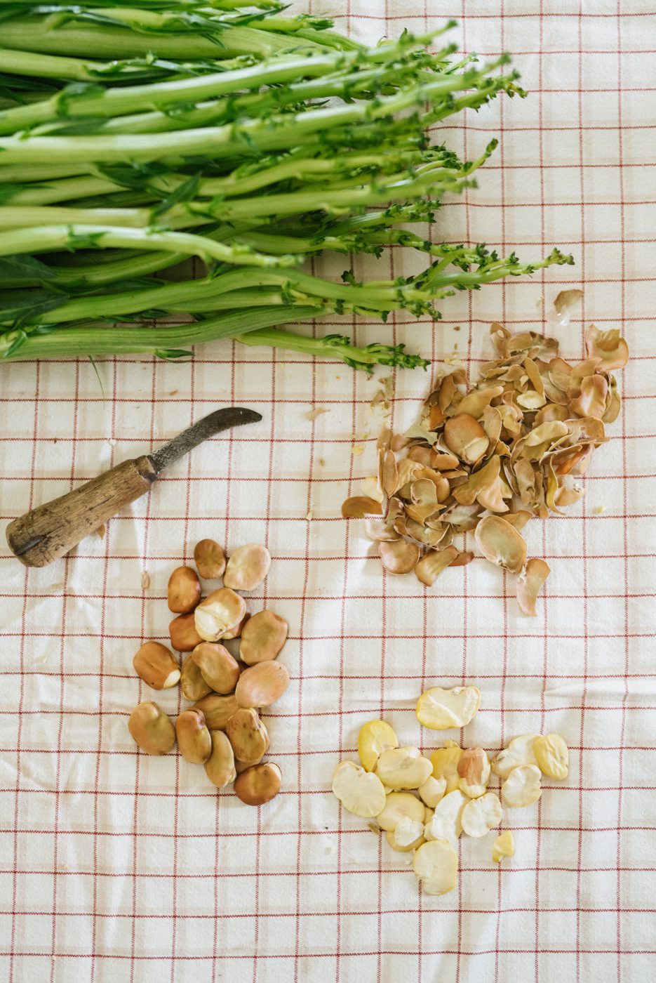 An ancient farming dish of the Apulian tradition, consisting of a coarse purée of broad beans accompanied by rural chicory.