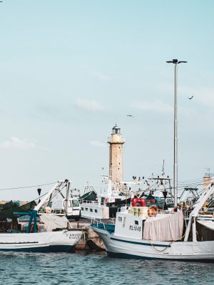 Bari - Someone's Backyard