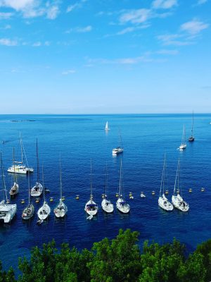 Capraia Island, A Love Letter - Tuscany