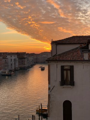 Venice Stripped Bare