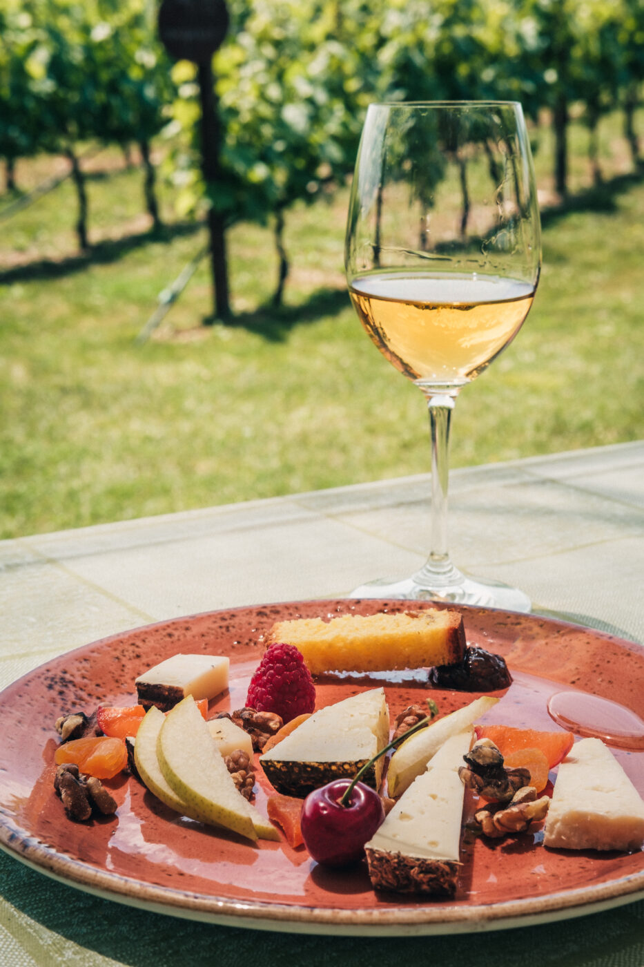 wine in the vineyards
