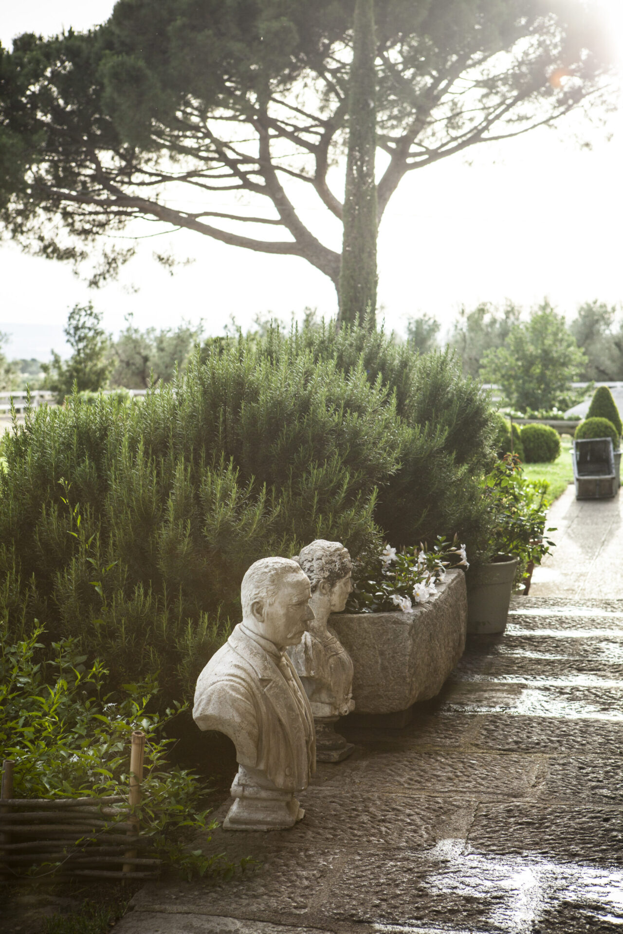 Tuscia: Ancient roman relics at Tenuta di Bertarello
