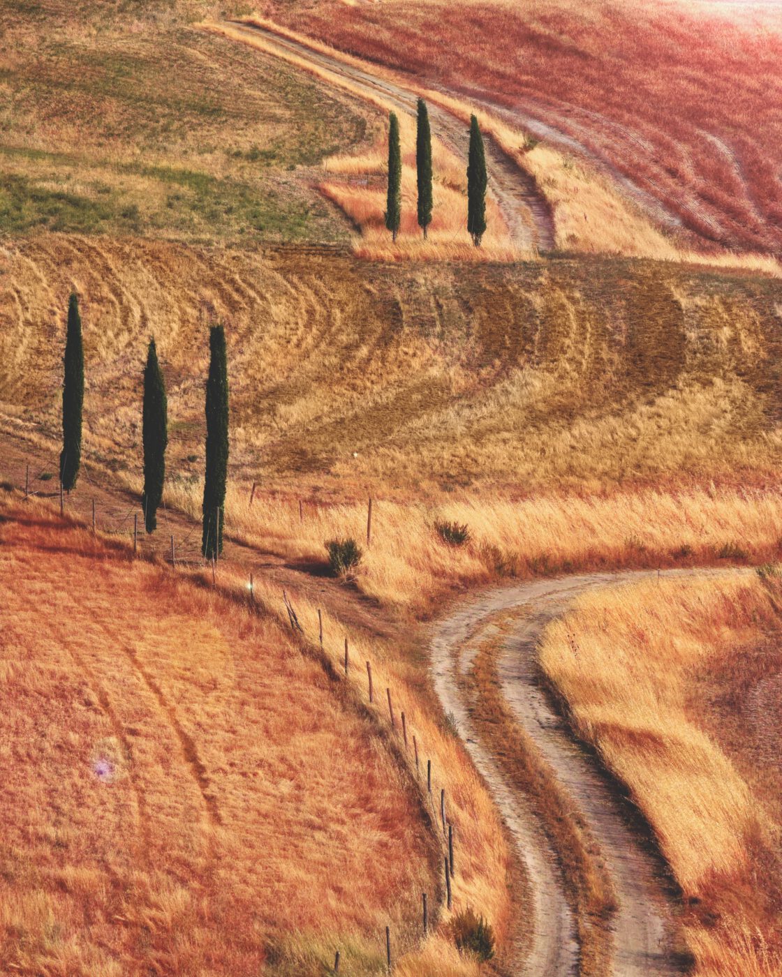 Val D'Orcia scenery