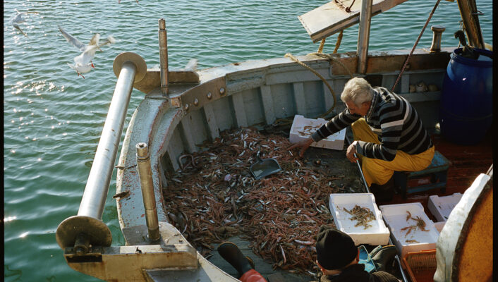 Sicily Mediterranean Mirror - Fishing
