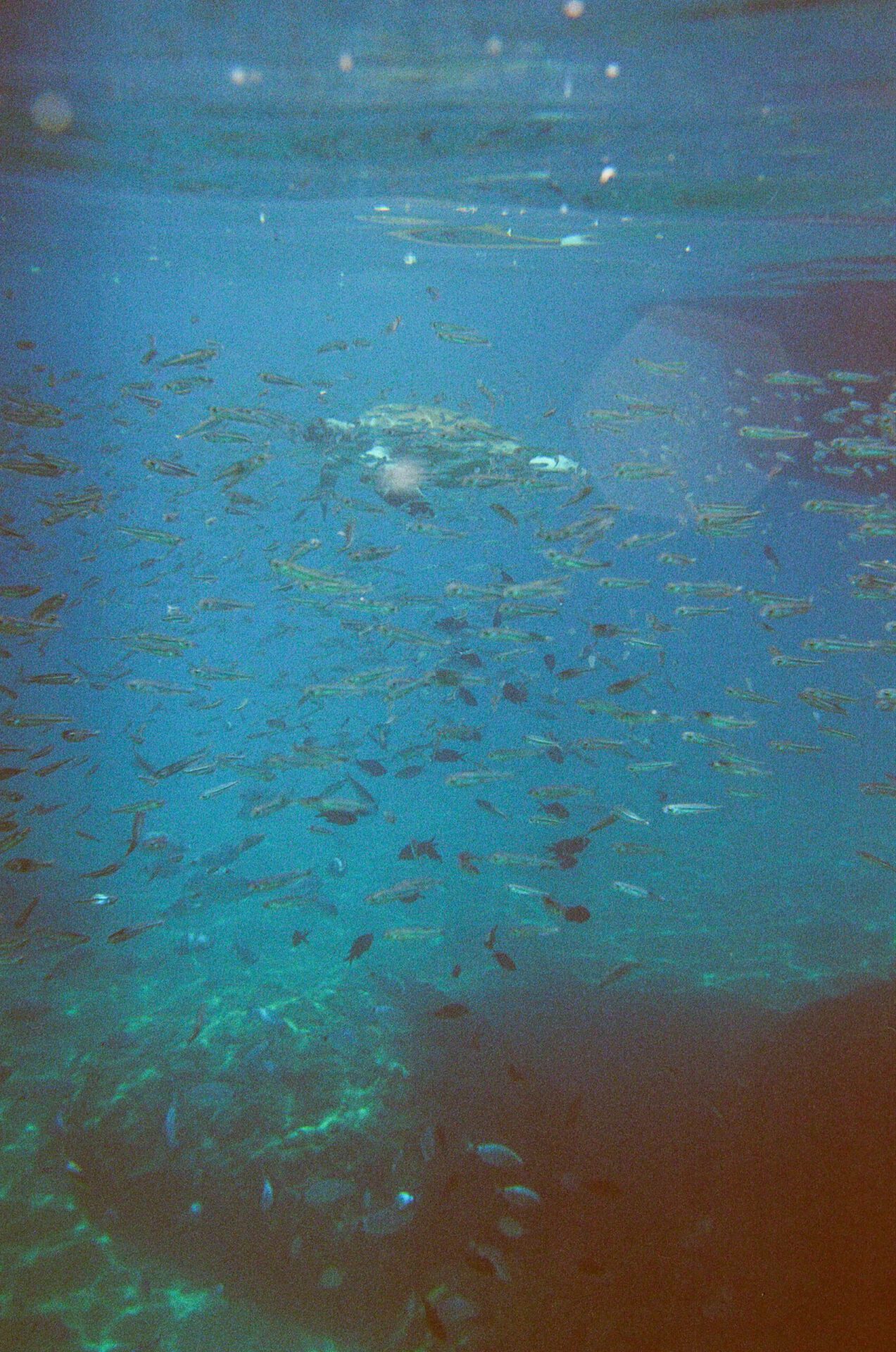 Diario Filicudaro - sea sicily