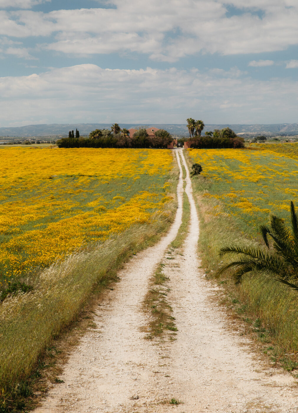 I giardini di Marzo - Italian Landscape Italy garden aesthetics countryside roadtrip