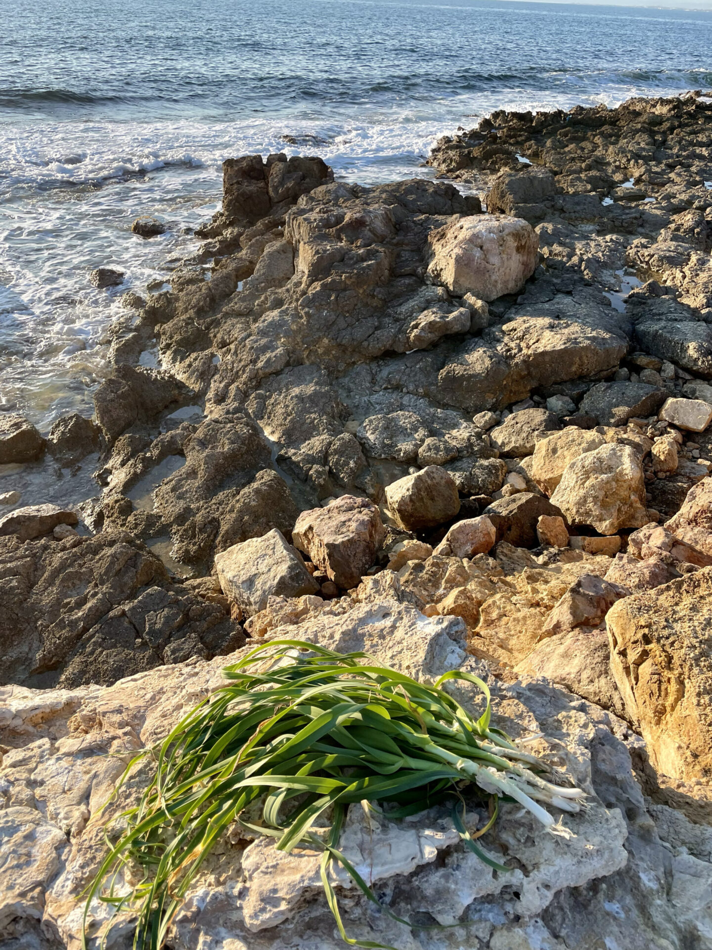 Sailing Sicily Off Season Pt.3 sicilia Italia island boat trip Marina di Ragusa via Isola delle Correnti to Marzamemi sea calm porro wild leeks rocks