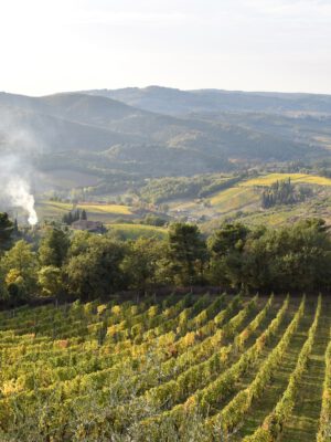 Chianti Classico: Beyond Wine towns tuscan tuscany hills small villages borgo wine vineyards landscape nature view sunset green radda in chianti sunset street aesthetics italian view vineyards