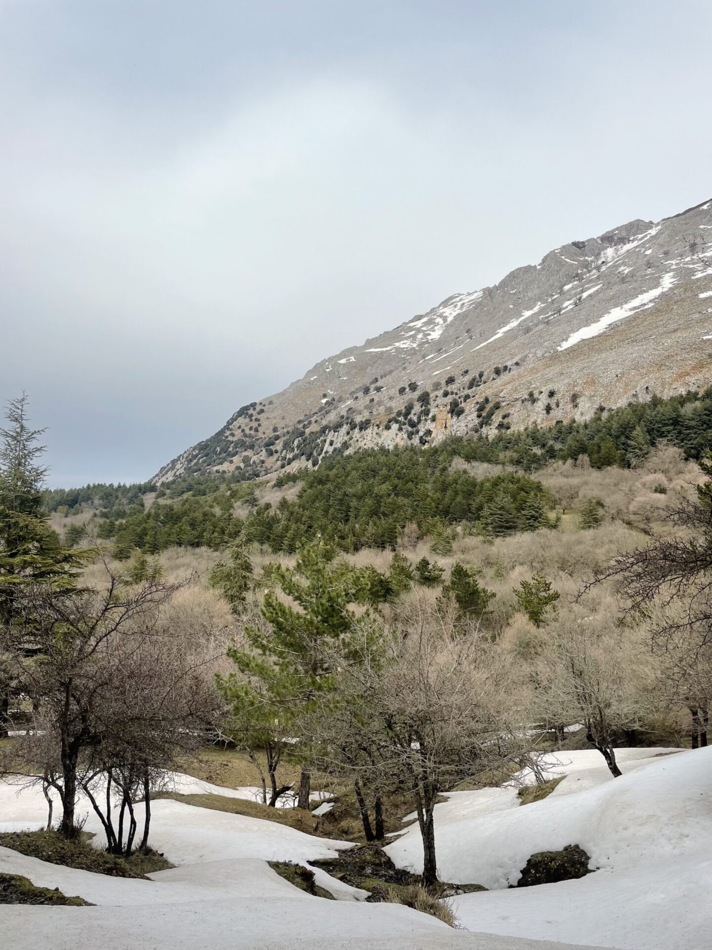 From Sea to Soaring Mountains: Sicily’s Parco delle Madonie nature explore travel island italy green trees italian landscape view sicilia italia cefalù sea summer location spot sicilian delicacies sweets italian street aesthetics mountain view laghetto lake mountain view