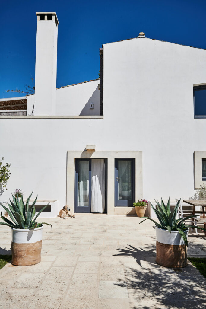 an entrance to the stark white Masseria Prosperi with a dog sitting in front of the door