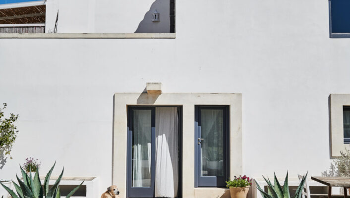 an entrance to the stark white Masseria Prosperi with a dog sitting in front of the door