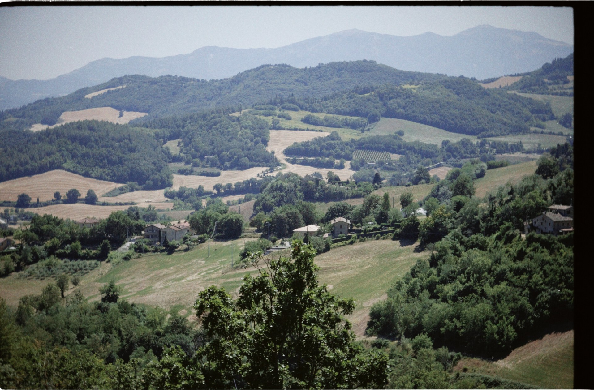 Fields