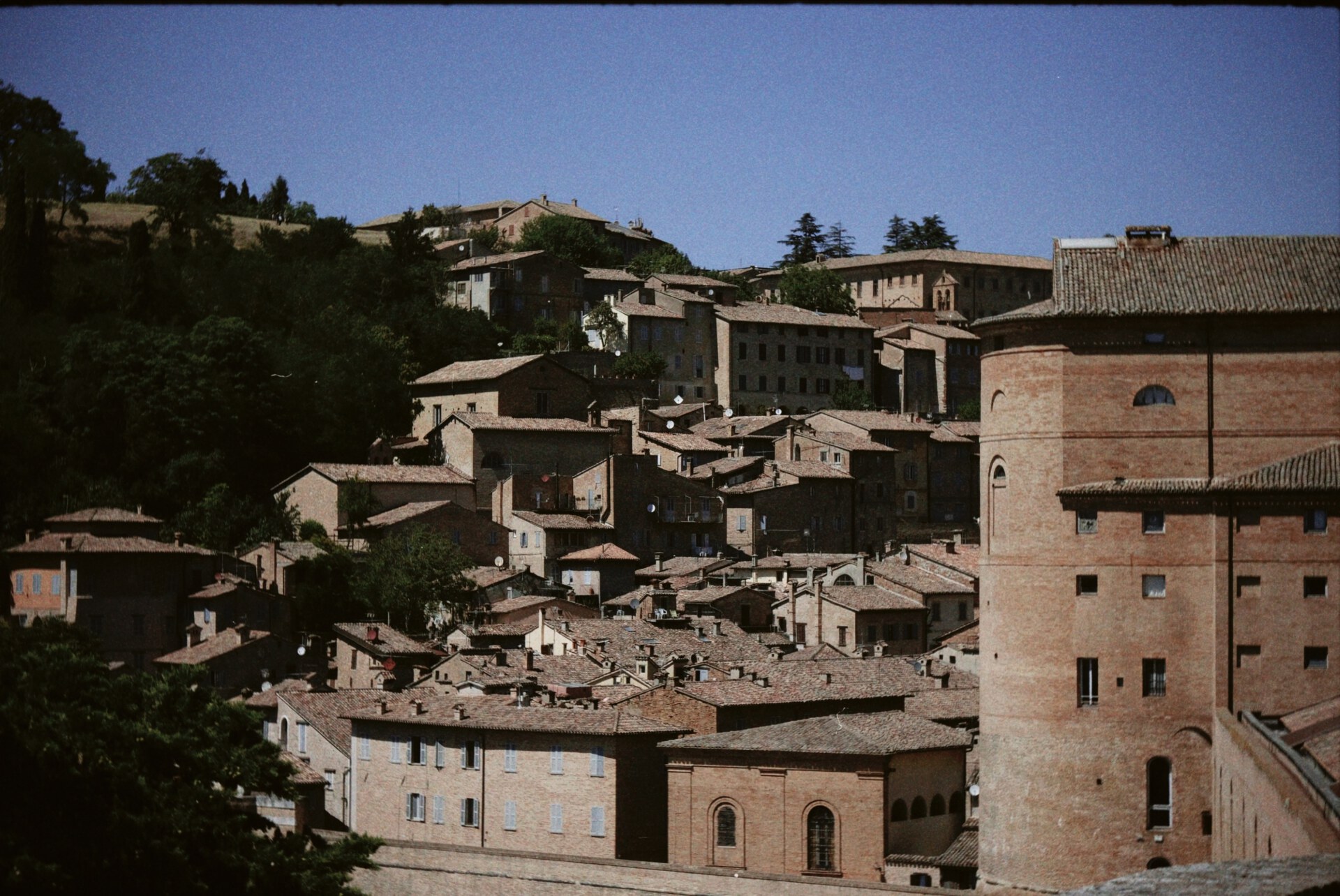 Front view of Urbino's city with uniform buildings color over a hill surrounded by trees in the Marche in Italy