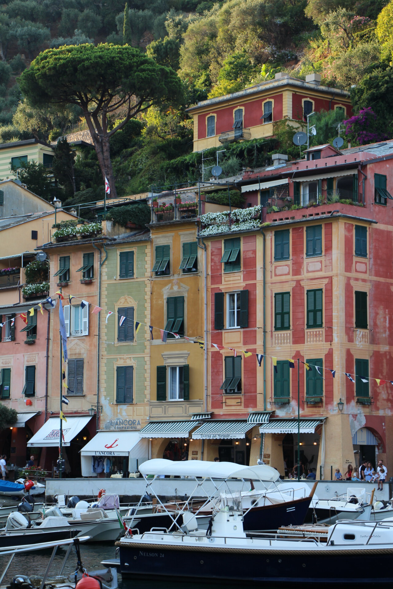 colorful houses of Portofino's port