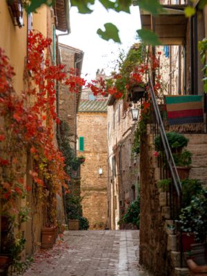 Antique narrow street with buildings on old bricks and stairs covered in plants and red leaves in autumn in Pienza Tuscany in Italy