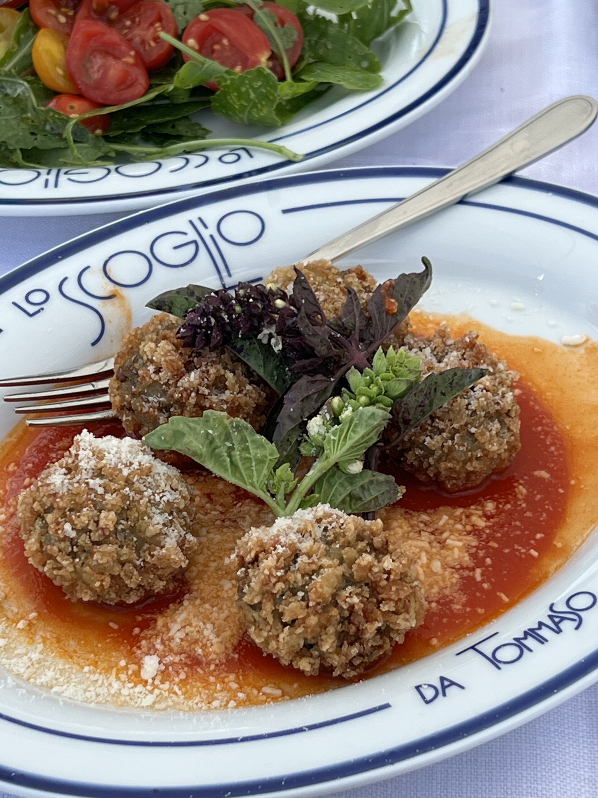 Arancini on Tomato Sauce - Four breaded and fried arancini balls sit on red tomato sauce, garnished with fresh basil and parmesan on a white plate with blue trim. A fork rests on the plate, and salad is visible in the background.
