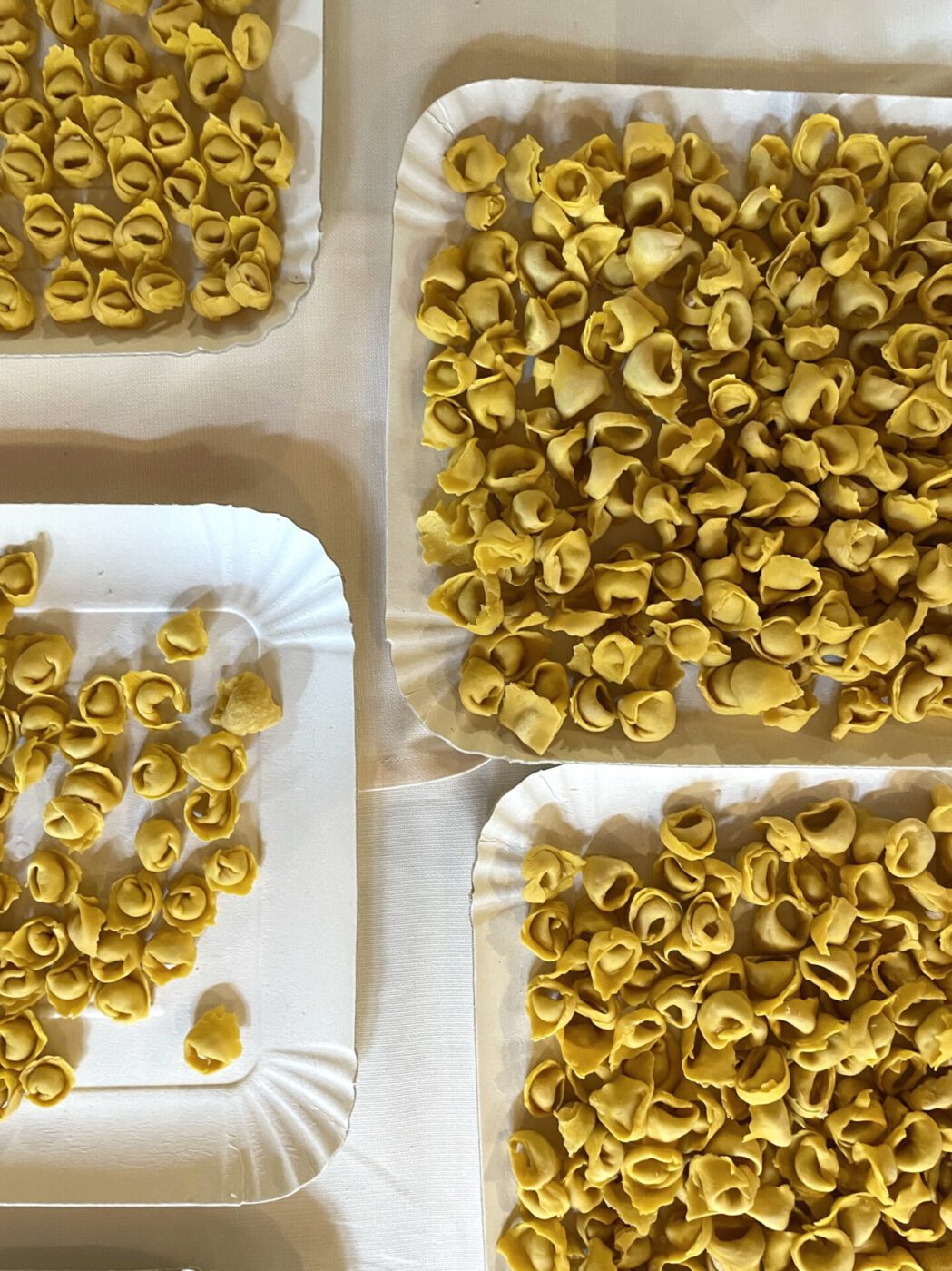 Handmade filled fresh tortellini pasta over white disposables plates in Emilia Romagna Italy