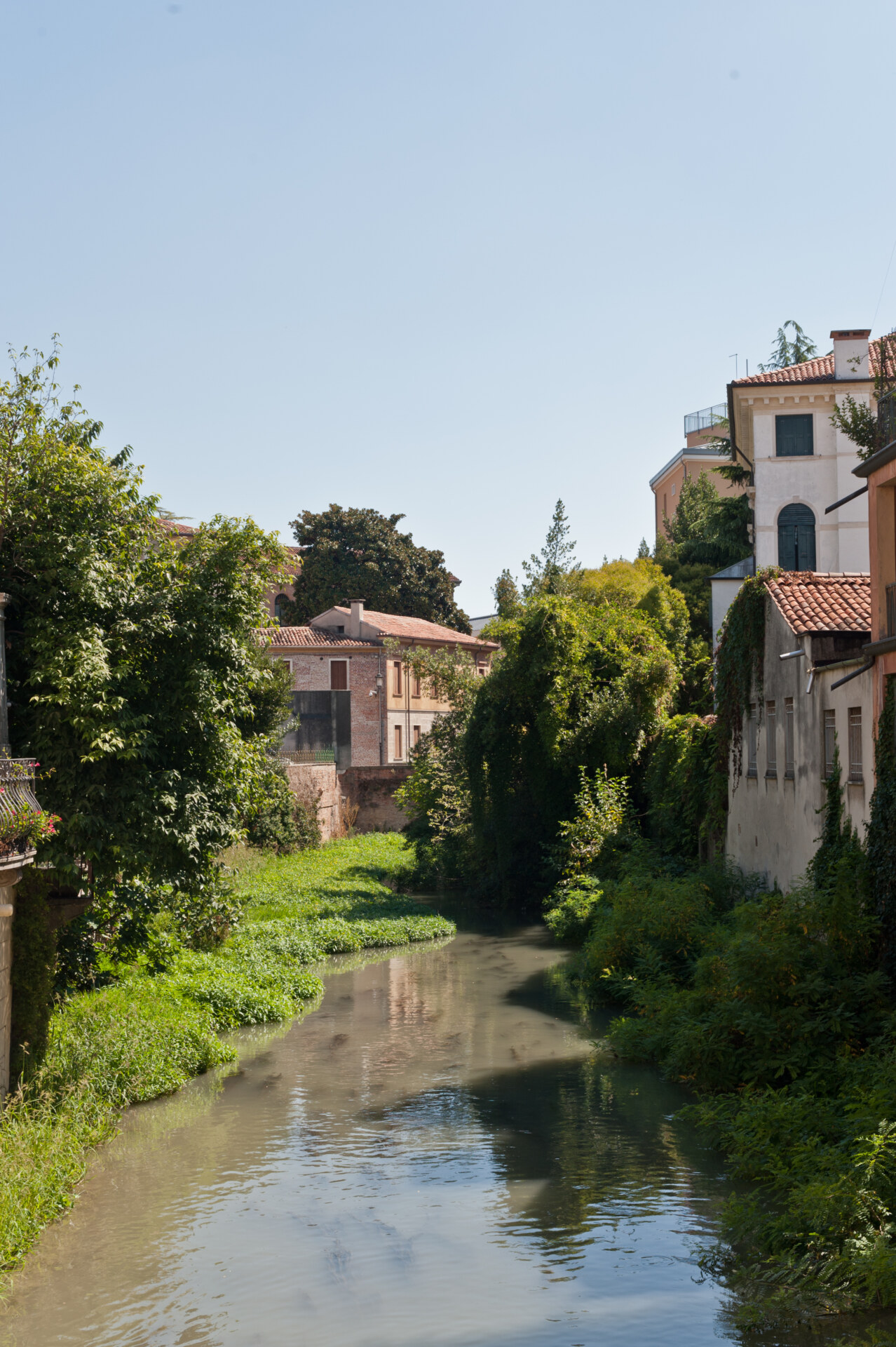 Grey dirty river crossing between buildings and antique houses in bricks and red roofs surrounded by plants and trees in Padua Veneto in Italy