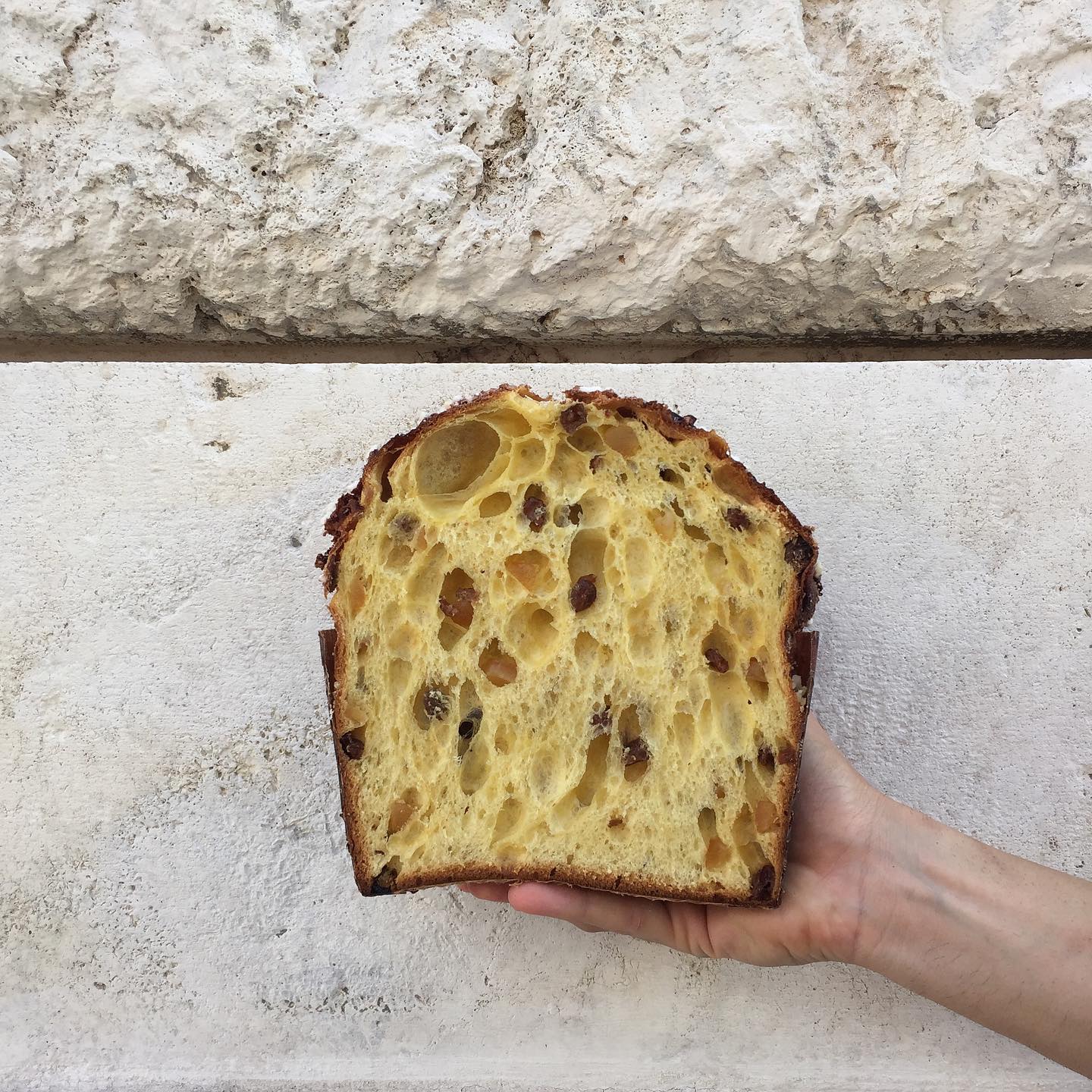 Traditional Italian Panettone bread at Forno Conti, Roma