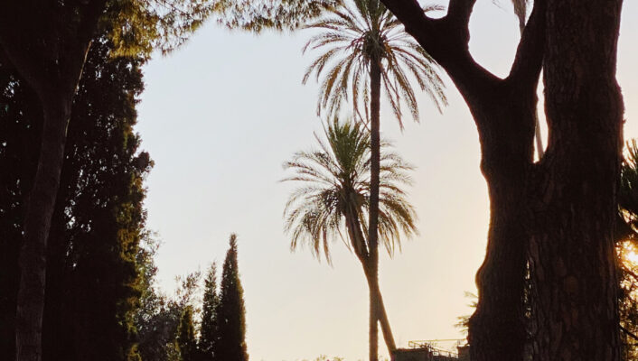 Parco del Colle Oppio, Rome