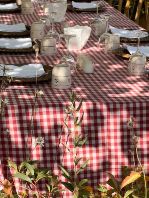 an outdoor table set for lunch under some trees with a red and white checkered tablecloth