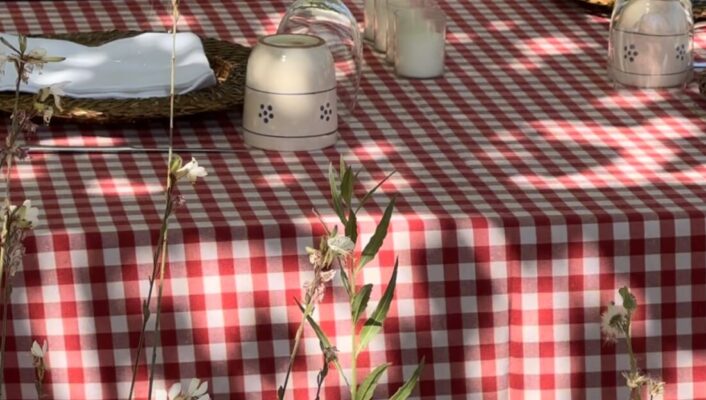 an outdoor table set for lunch under some trees with a red and white checkered tablecloth
