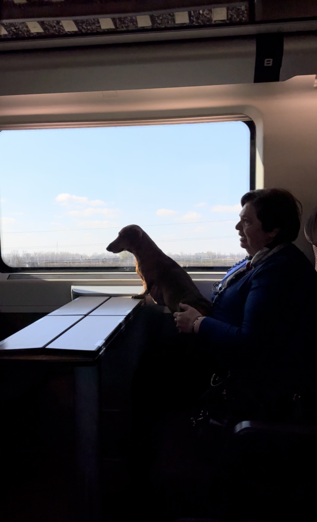 A photo of a woman and her dog on her lap riding a train