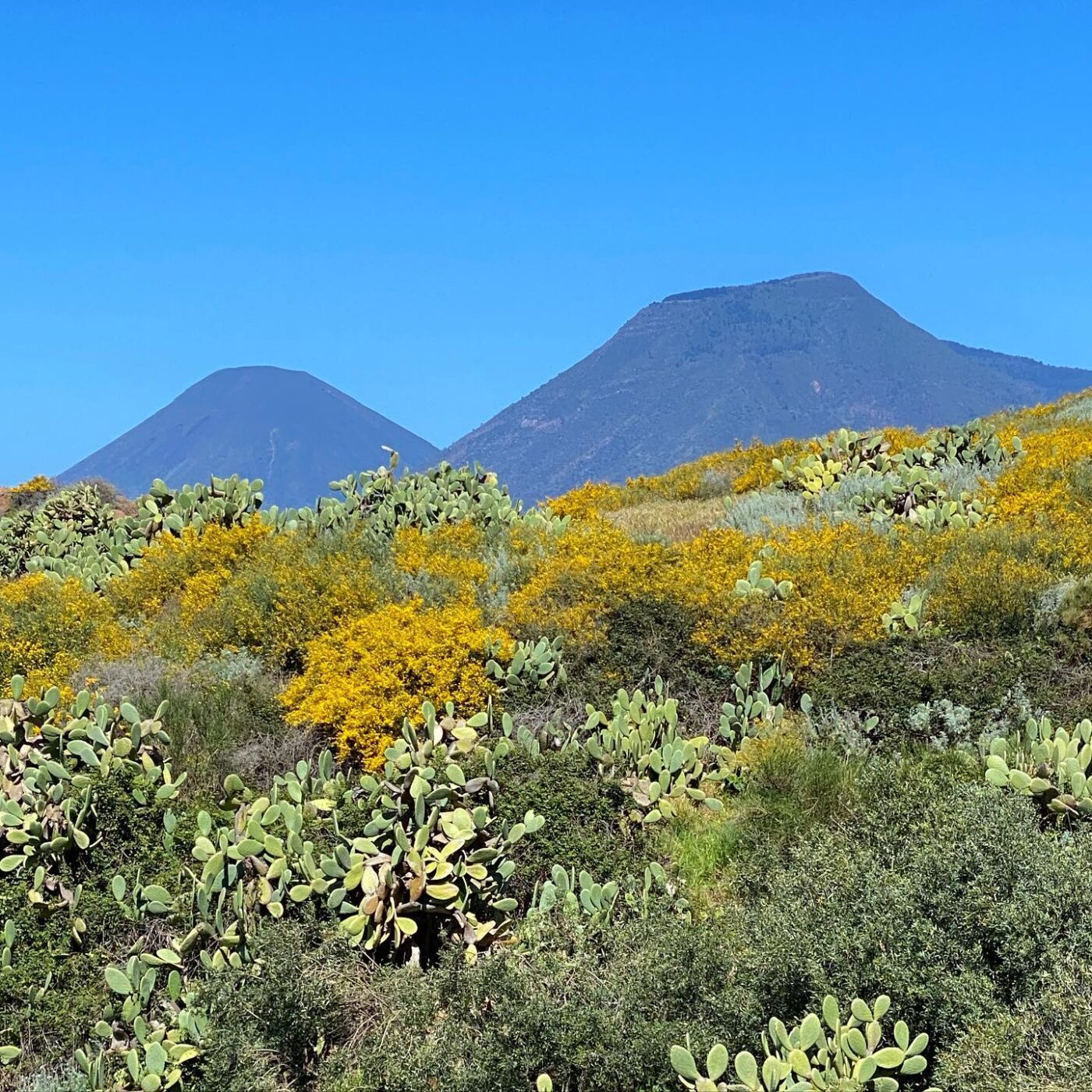 mountains in Sicily with prickly pear and other bushes in the foregroundr and