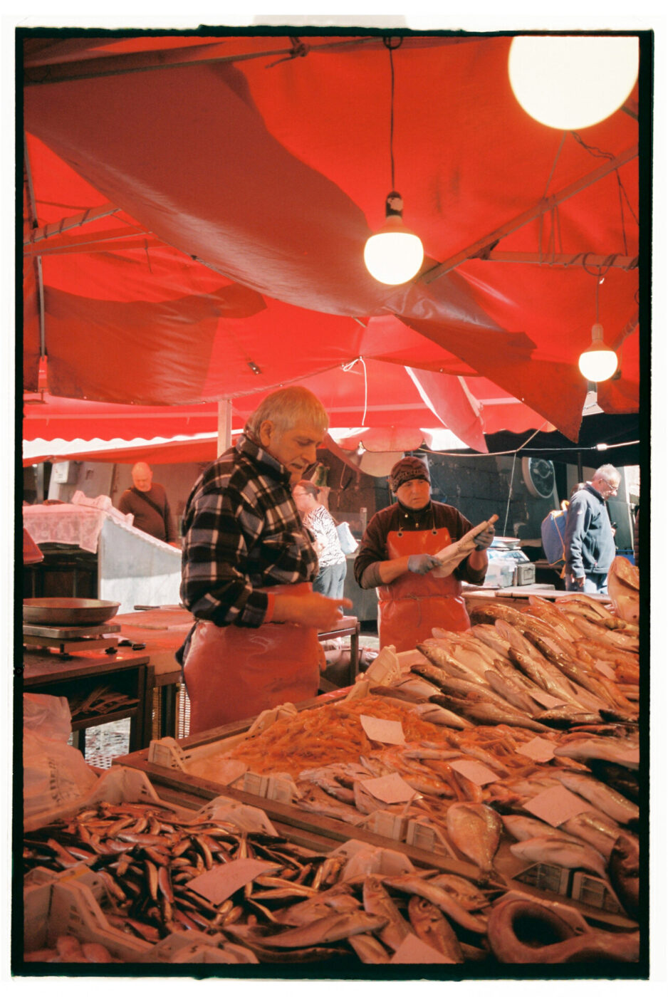 photo by Gina Spinelli of two men selling fish at a market