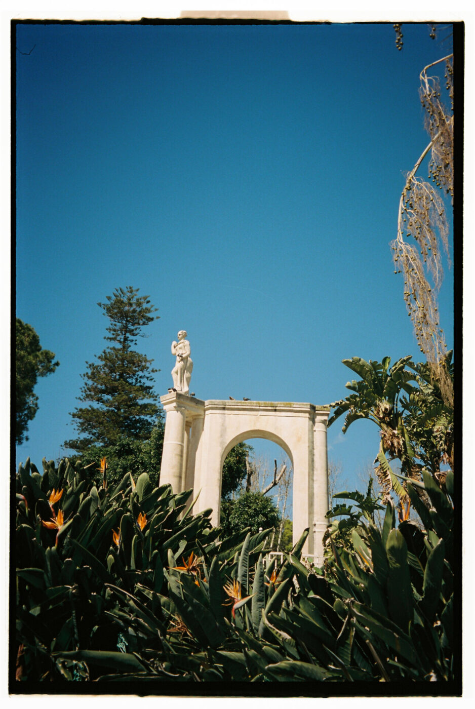 Photography by Gina Spinelli of a small white marble structure behind many blooming birds of paradise plants