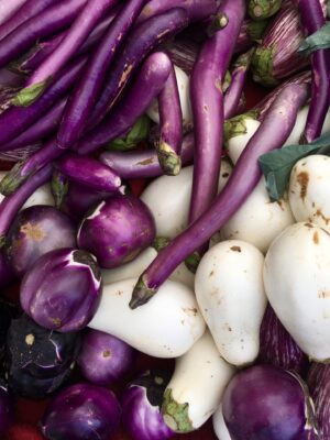 a variety of eggplants; white, long, skinny and light purple, dark purple