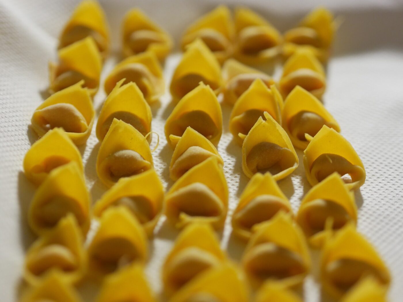 Rows of fresh homemade tortellini