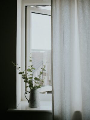 a photo of a slightly ajar window with a thin white curtain and a white pitcher and eucalyptus sitting on the windowsill