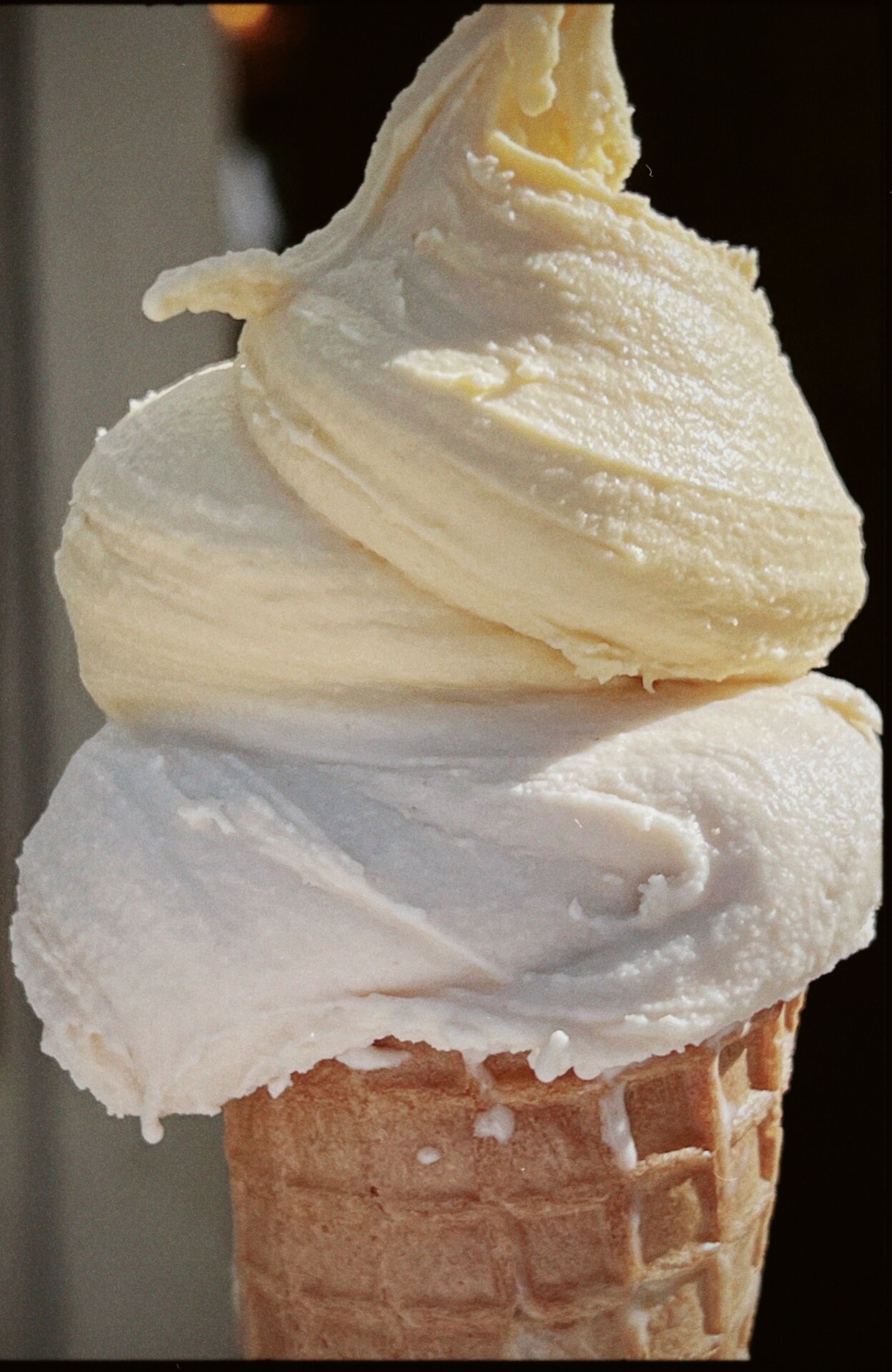 a close up of a cone with two soft swirled scoops of gelato; one white and one light yellow