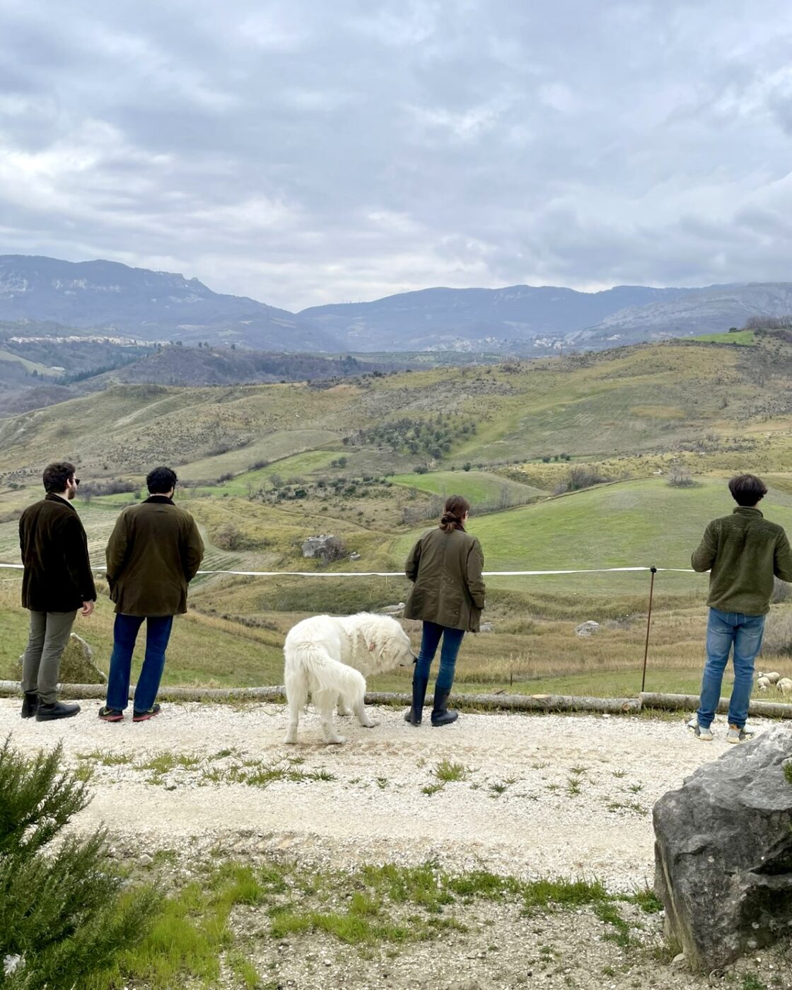 four people and a large white fluffy dog standing on a terrace looking over at the Tuscan countryside