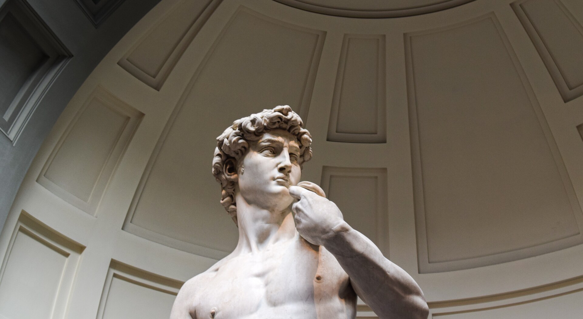 a photo of the top half of Michelangelo's David